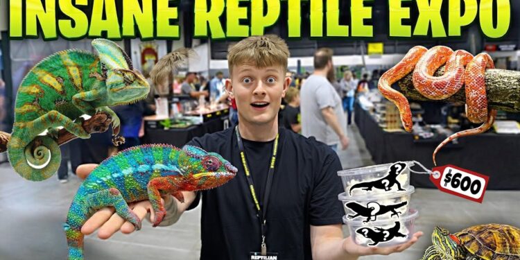 REPTILE (2026) – First Trailer Review