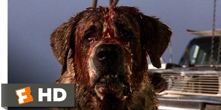 Cujo (2026) Movie Review: Scarlett Johansson’s Ferocious Return to Horror