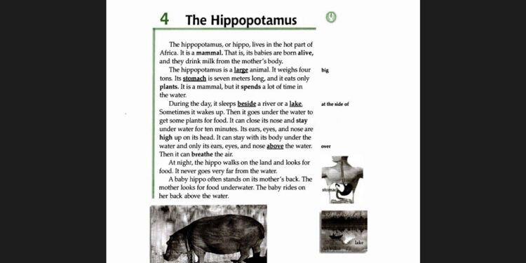 The Hippopotamus (2025) Movie Review: Barrel-Chested Mayhem and Ludicrous Stunts